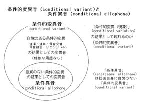 条件異音と条件的変異音